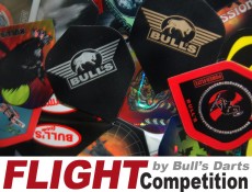 Bulls flight design wettbewerb geht in die entscheidende phase 2009 06